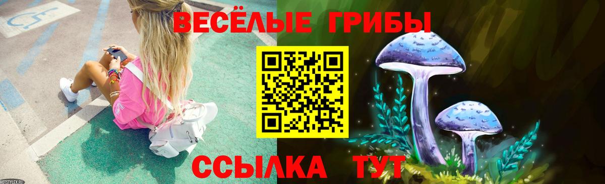 Галлюциногенные грибы Psilocybine cubensis  Псилоцибиновые грибы ЛСД  Сланцы  Вход с VPN 